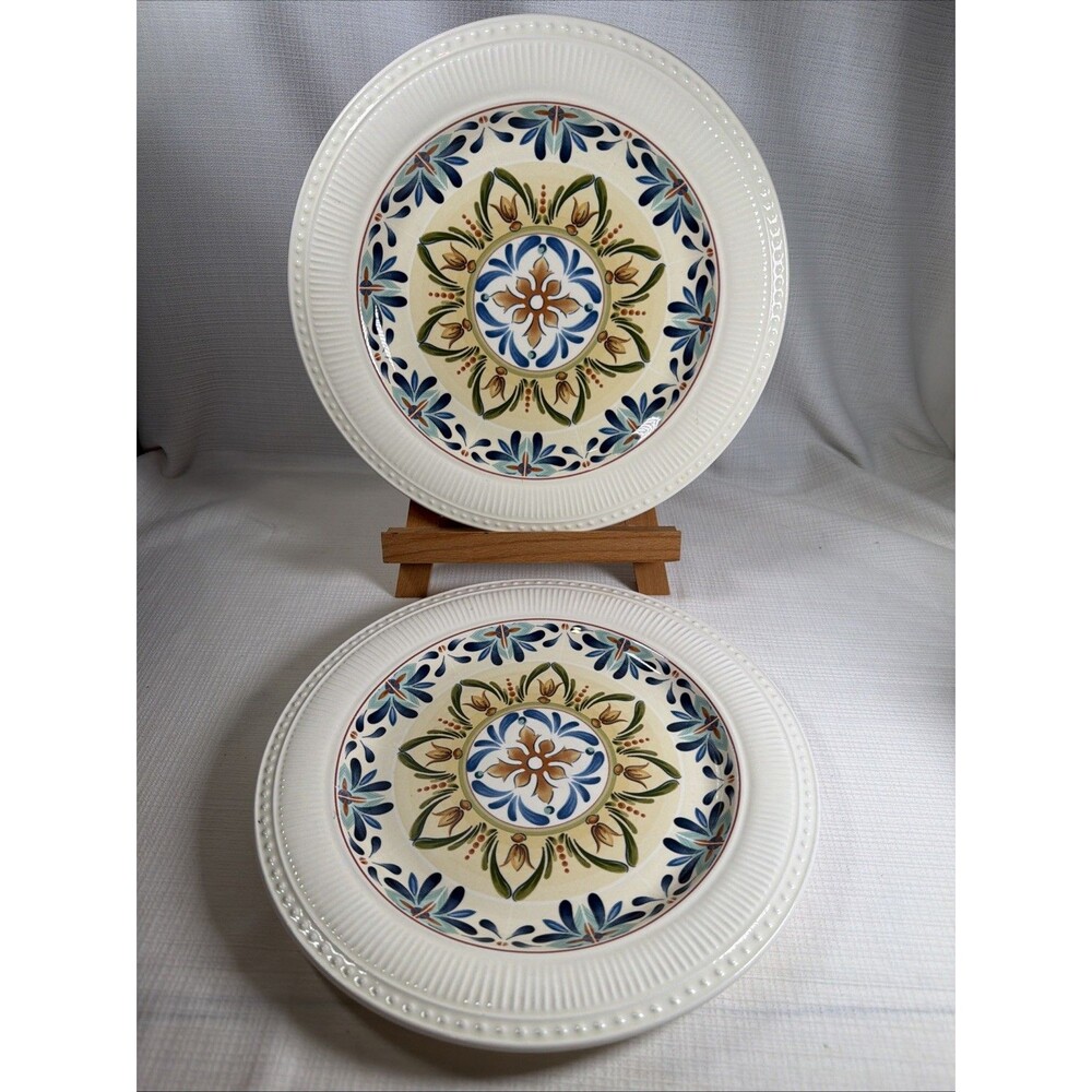 Set of 2 Pier 1 Imports Athena Ironstone Dinner Plates 11" Geometric Floral